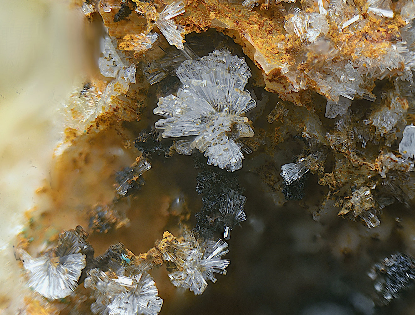 Hemimorfita
Campo de visión de 5 mm.
(Autor: Antonio Carmona)