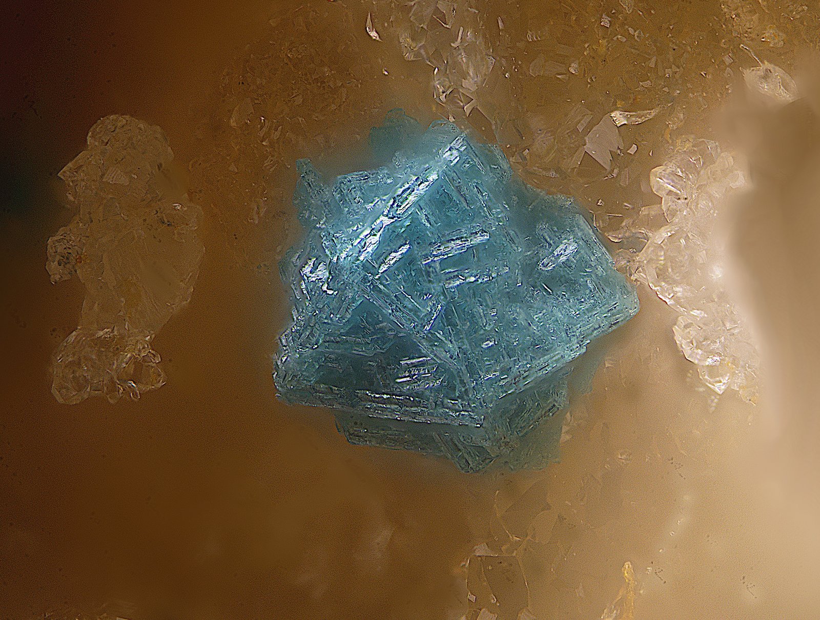 Herbertsmithita
Campo de visión de 1 mm.
(Autor: Antonio Carmona)