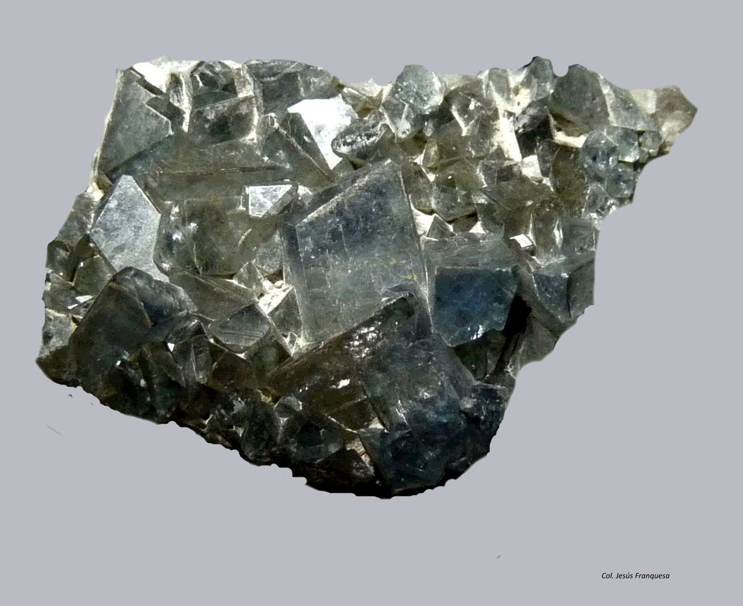 Celestina.
33x19 mm.
(Autor: Jesus Franquesa Baucells)