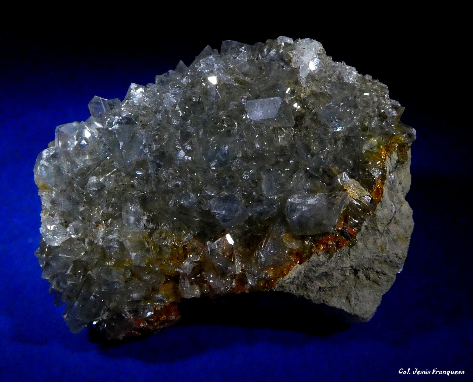 Celestina.
45x37 mm.
(Autor: Jesus Franquesa Baucells)