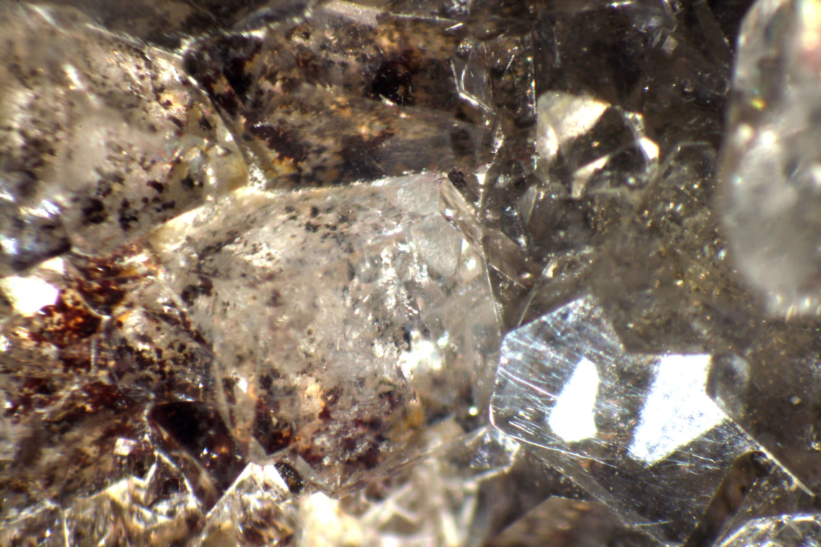 Celestina
44 x 30 x 15 mm.
(Autor: José Luis Zamora)