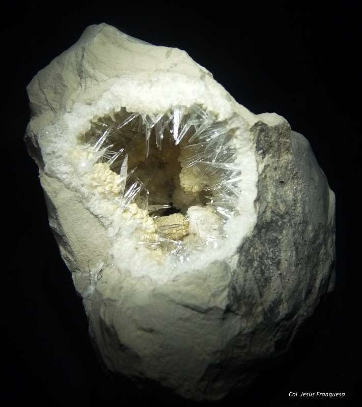 Celestina.
80x70 mm.
(Autor: Jesus Franquesa Baucells)