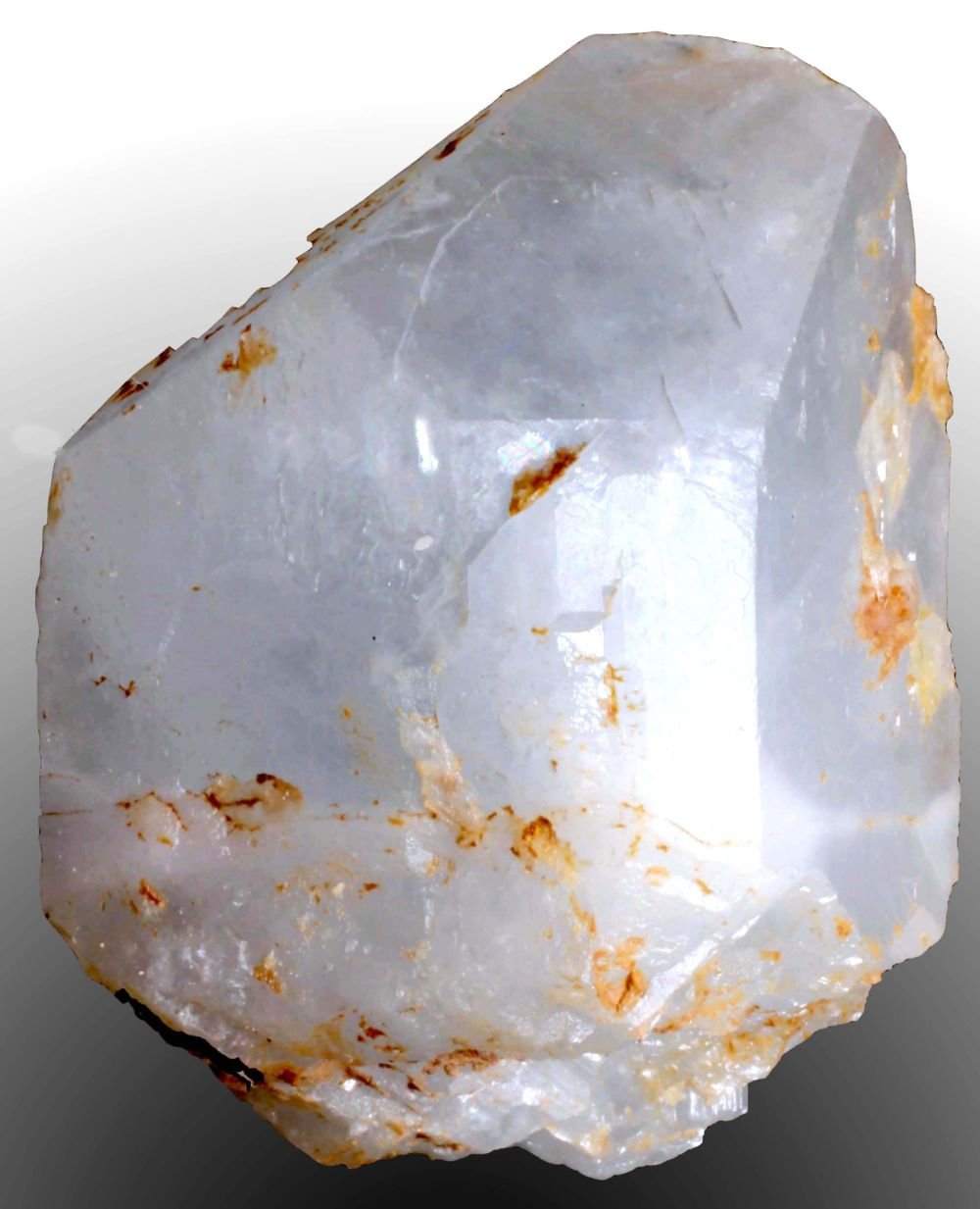 Celestina
60 x 50 x 41 mm
(Autor: José Luis Zamora)