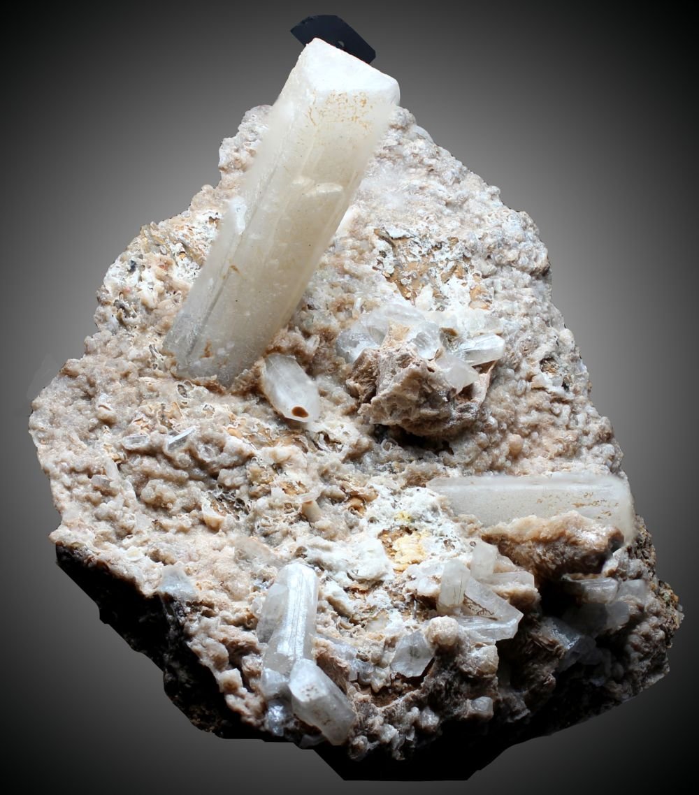 Celestina
73 x 60 x 36 mm
(Autor: José Luis Zamora)