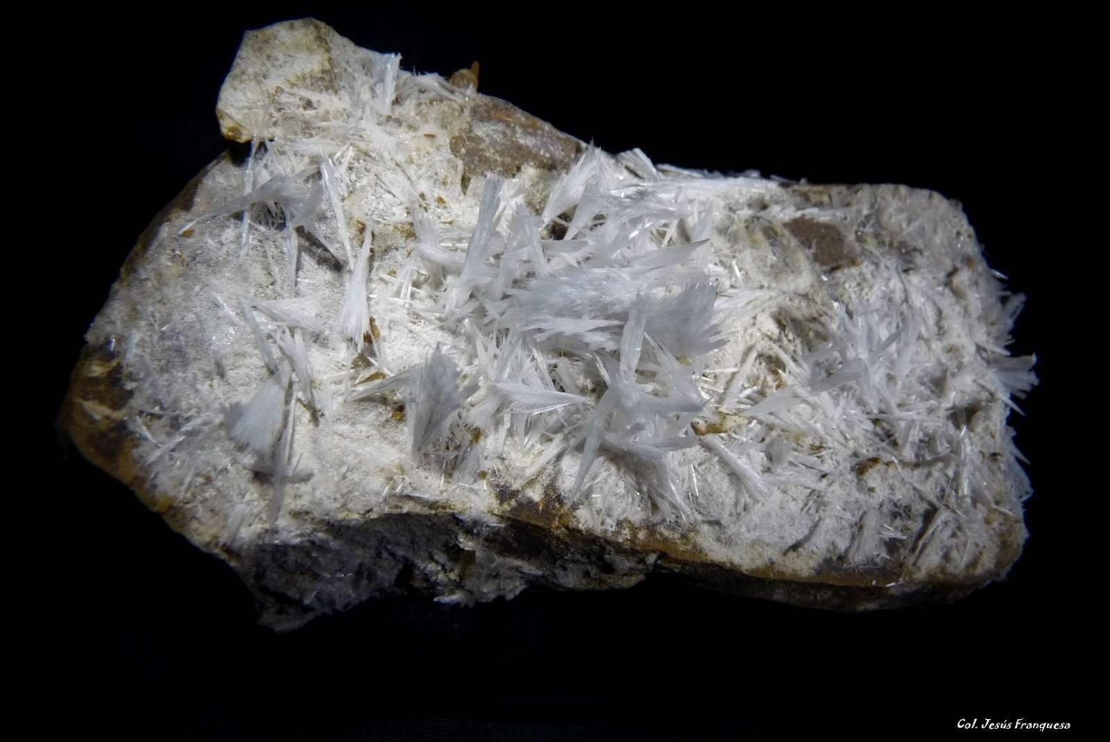 Celestina.
95x60 mm.
(Autor: Jesus Franquesa Baucells)