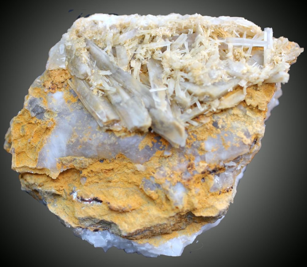 Celestina
56 x 45 x 23 mm.
(Autor: José Luis Zamora)