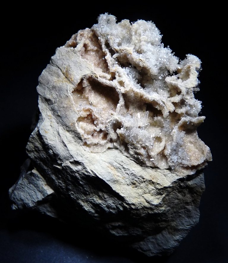 Celestina.
55x45 mm.
(Autor: Jesus Franquesa Baucells)