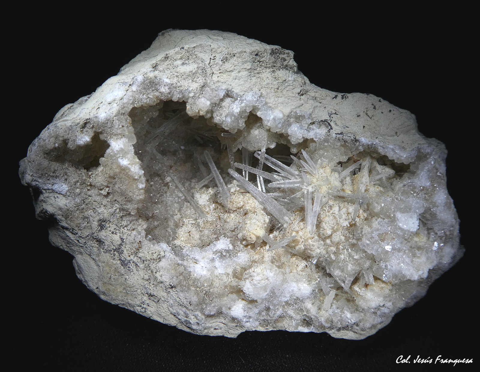 Celestina.
65x40 mm.
(Autor: Jesus Franquesa Baucells)