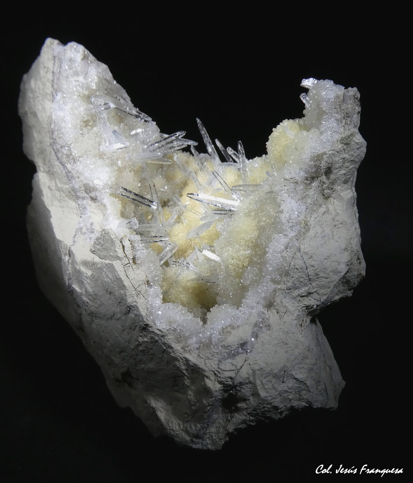 Celestina.
80x70 mm.
(Autor: Jesus Franquesa Baucells)