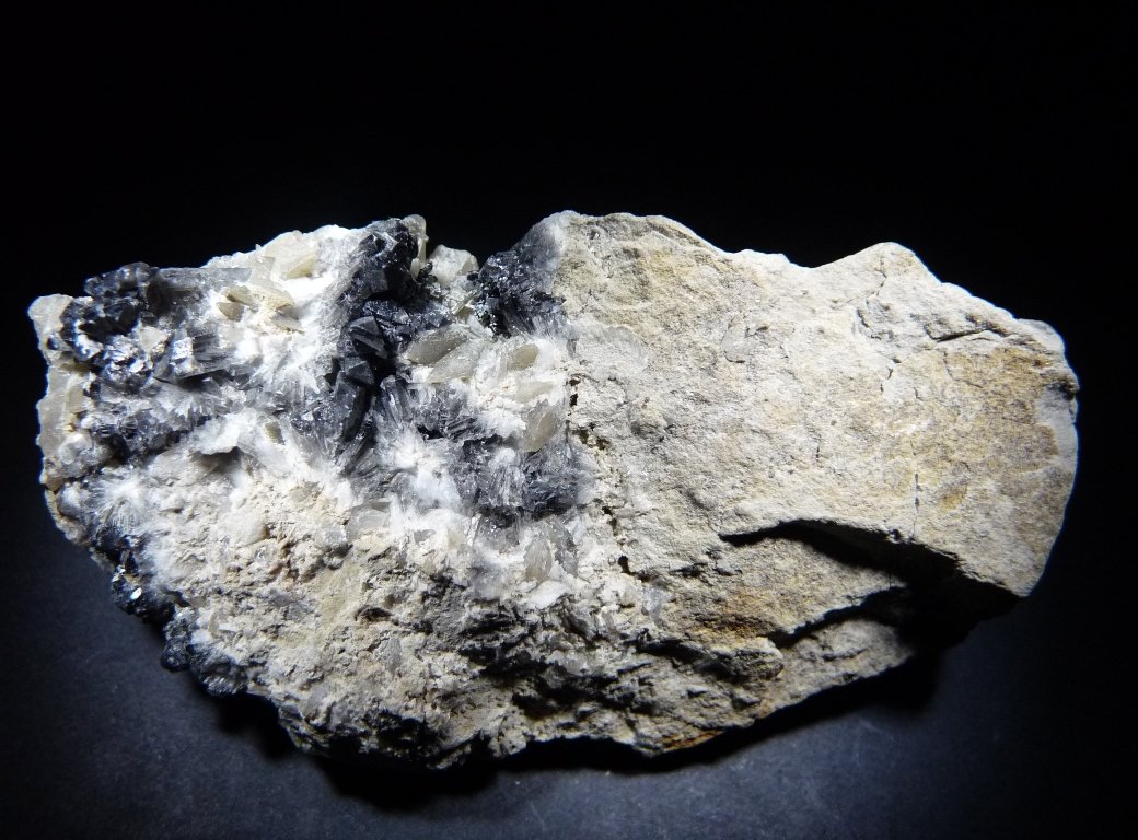 Celestina.
70x40 mm.
(Autor: Jesus Franquesa Baucells)