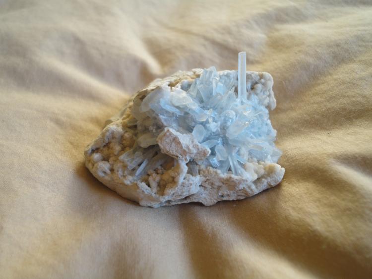 Celestina
5cm x 4 cm
(Autor: annamaria)