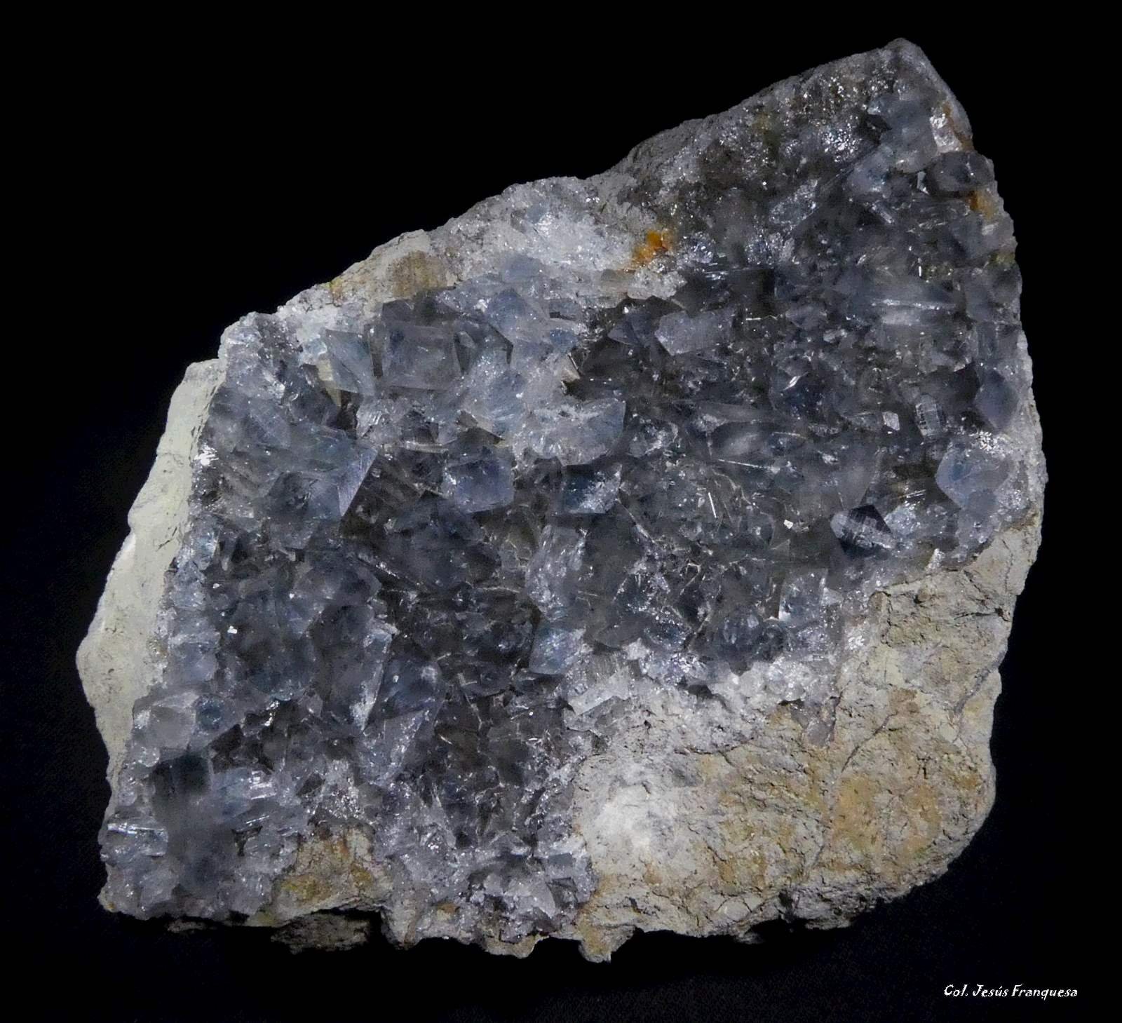 Celestina.
80x60 mm.
(Autor: Jesus Franquesa Baucells)
