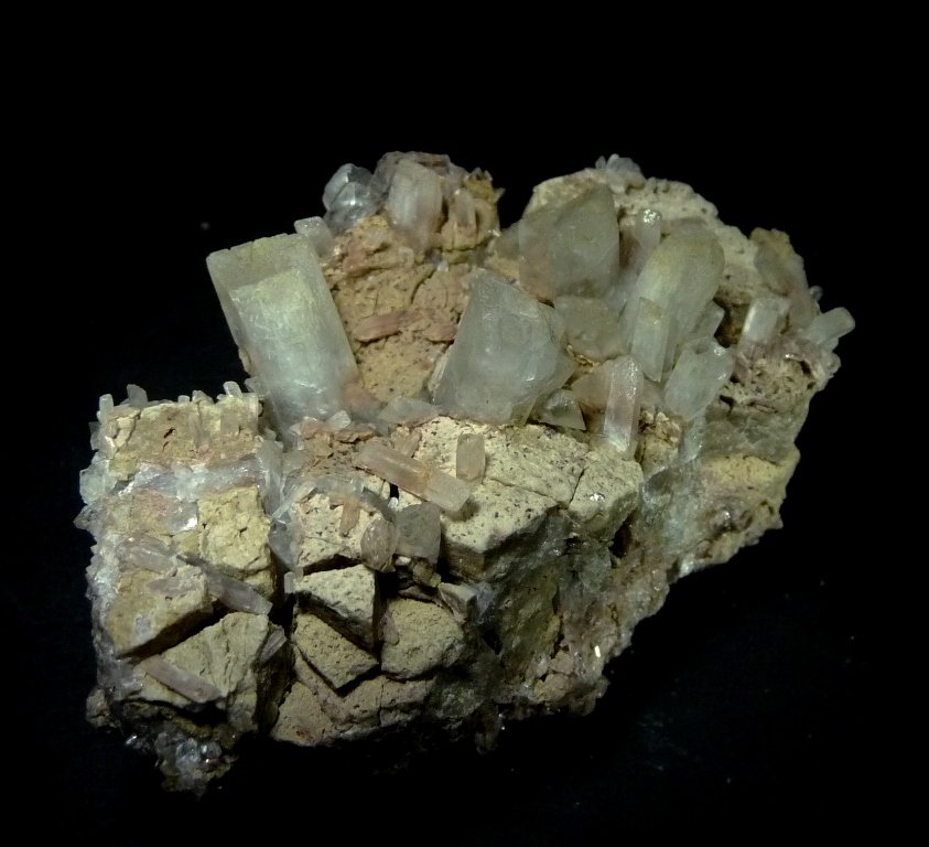 Celestina.
70x40 mm.
(Autor: Jesus Franquesa Baucells)