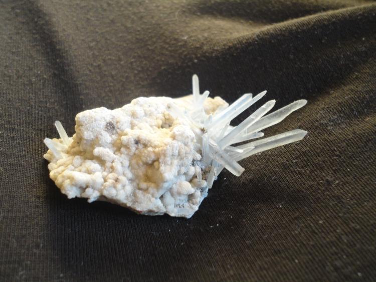 celestina
6cm x 4cm
(Autor: annamaria)