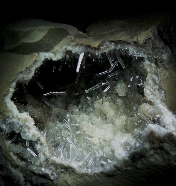 Celestina
16 x 10 cm
(Autor: Jesus Franquesa Baucells)