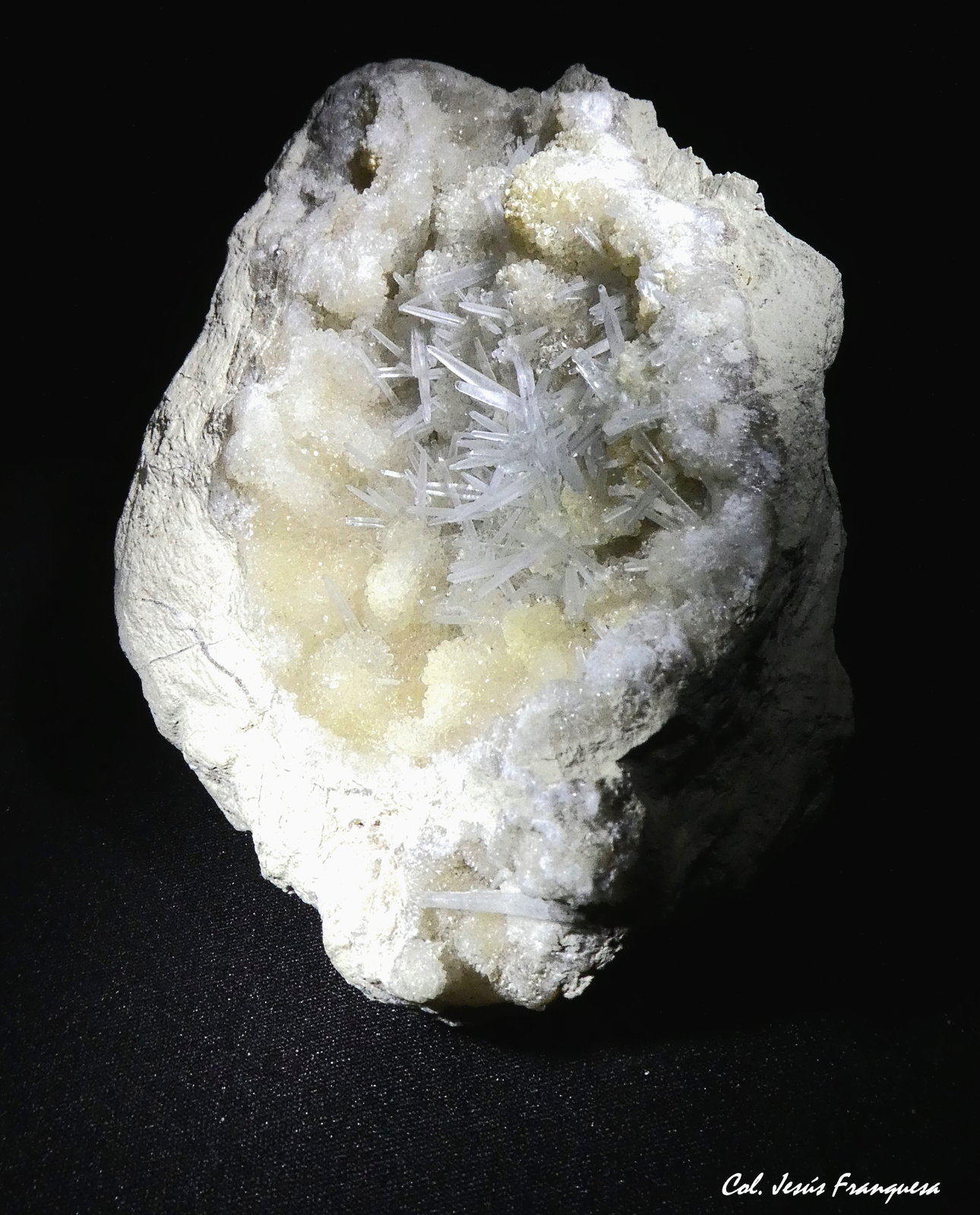 Celestina.
110x105 mm.
(Autor: Jesus Franquesa Baucells)