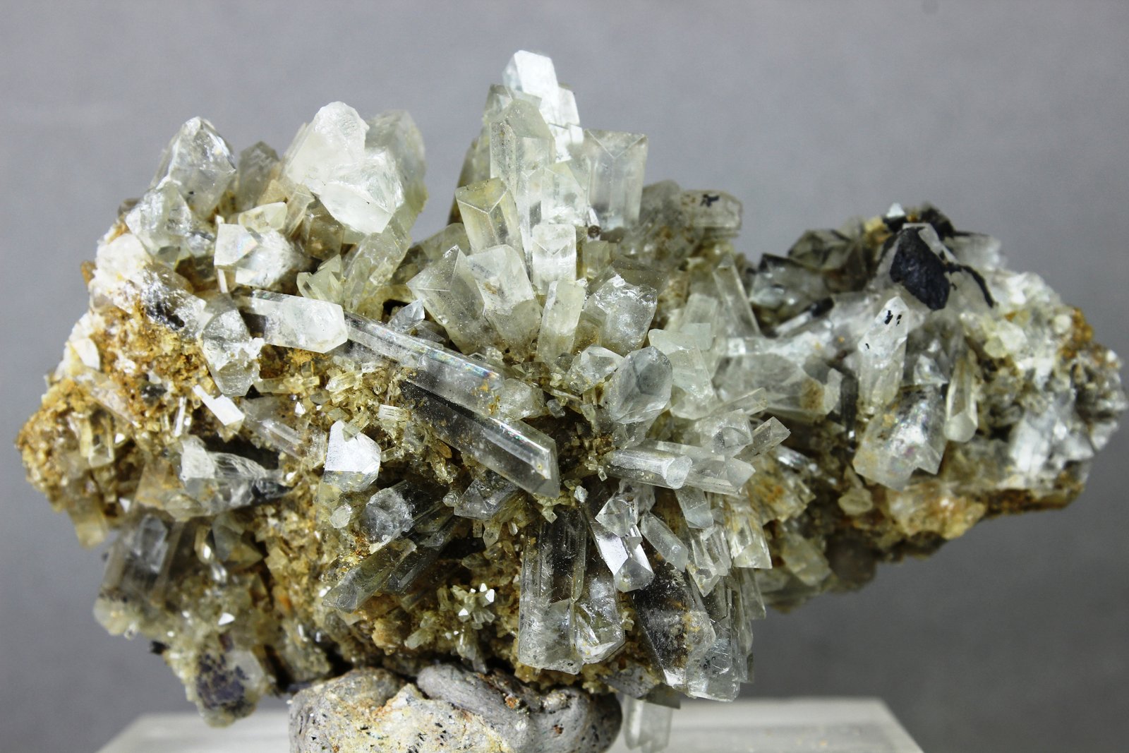 Celestina
80x50x30 mm
(Autor: Juan Espino)