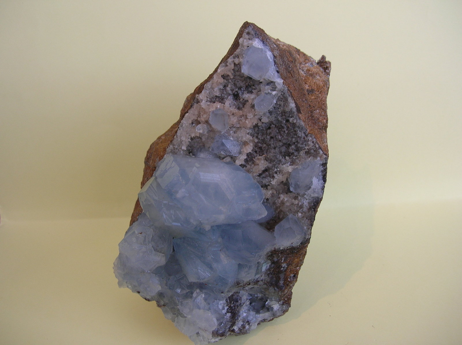 Celestina
14 x 10 cm
(Autor: Pedro Conesa)
