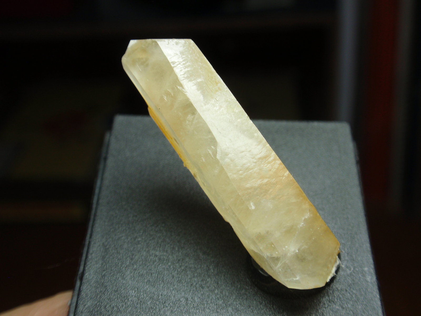Celestina
10x40 mm
(Autor: Ignacio)