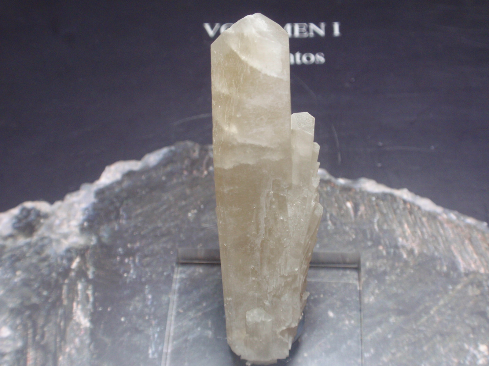 Celestina
20x60 mm
(Autor: Ignacio)