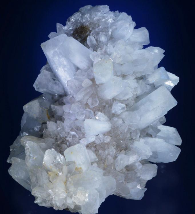 Celestina
20x13 cm.
(Autor: juan luis castanedo)