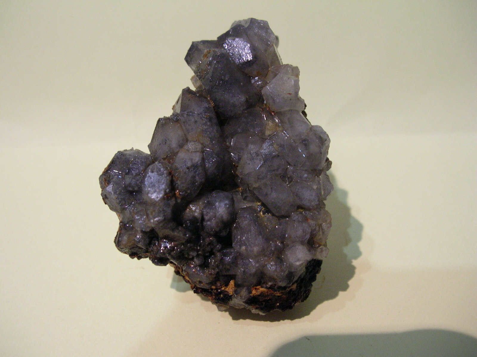 Celestina
6 x 4 cm
(Autor: Pedro Conesa)