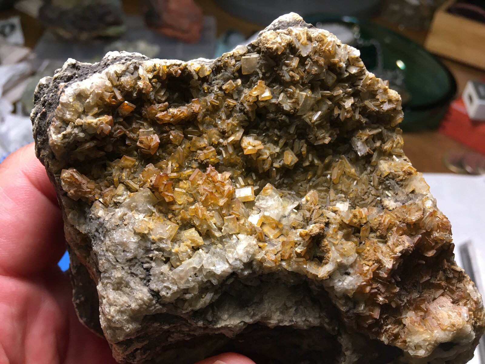 Celestina
Ulea, Comarca Valle de Ricote, Region of Murcia (Murcia), Spain
10 x 9 cm
(Autor: Matias Raja)