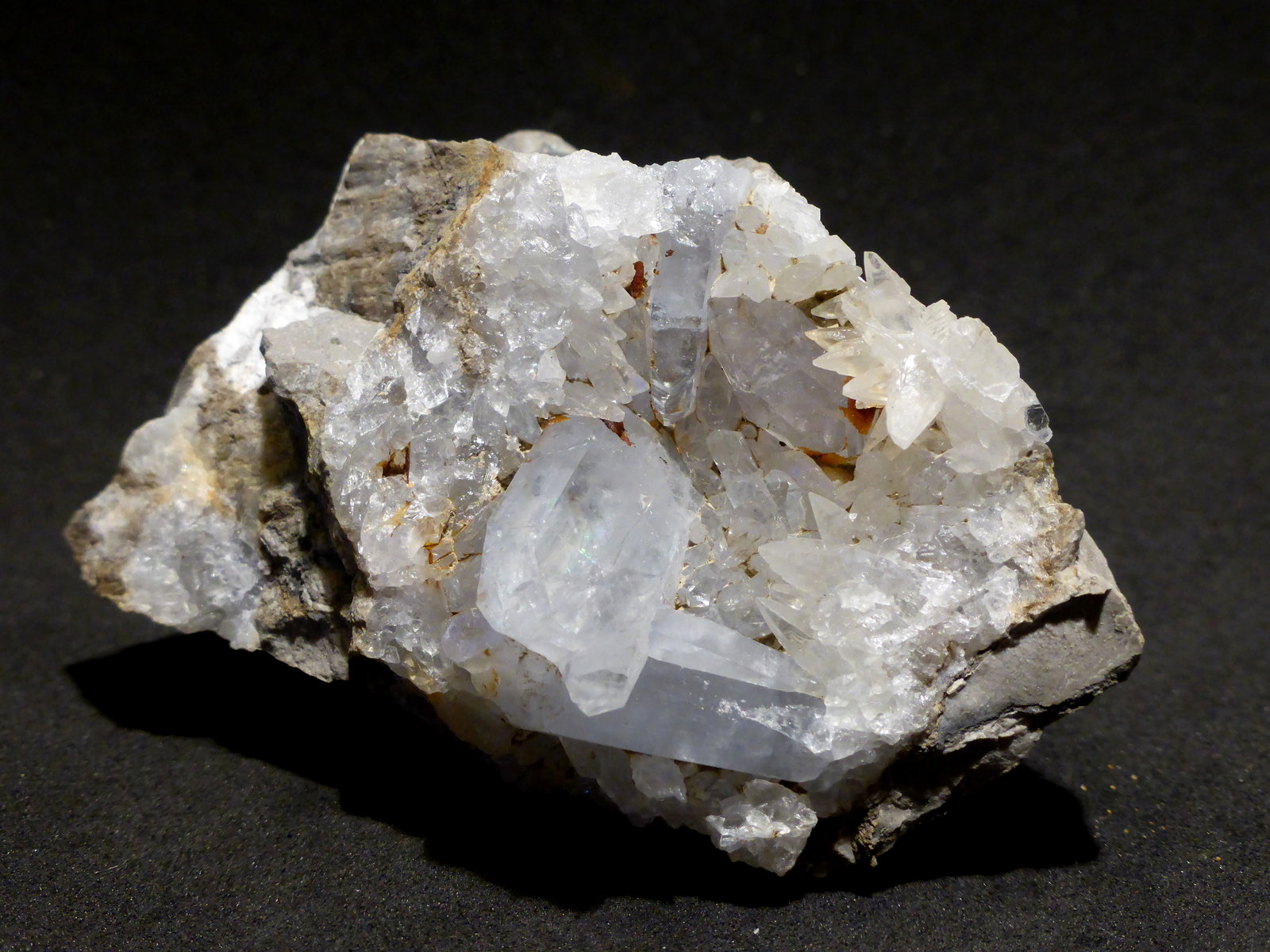 Celestina
7,5x4 cm
(Autor: Ander Ispizua Juan)