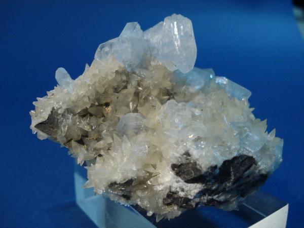 Celestina
8X6 cm.
(Autor: Echevarria)