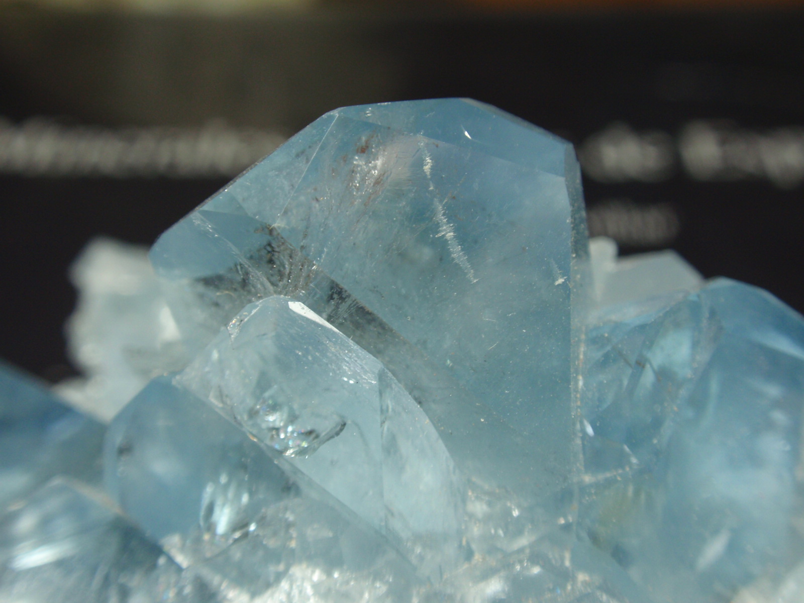 Celestina
80x50 mm
(Autor: Ignacio)