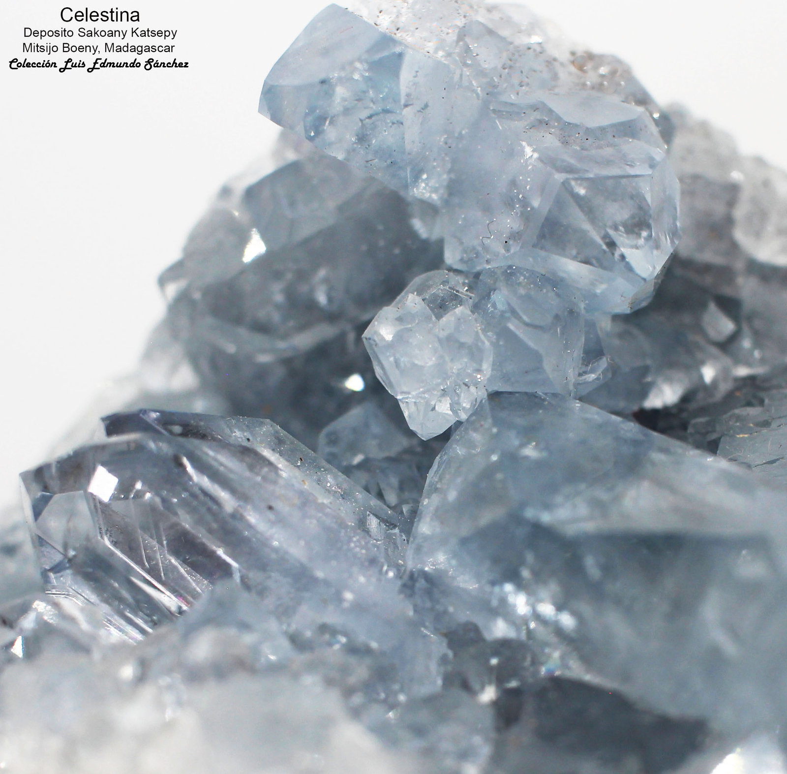 Celestina
8x7x7 cm
(Autor: Luis Edmundo Sánchez Roja)