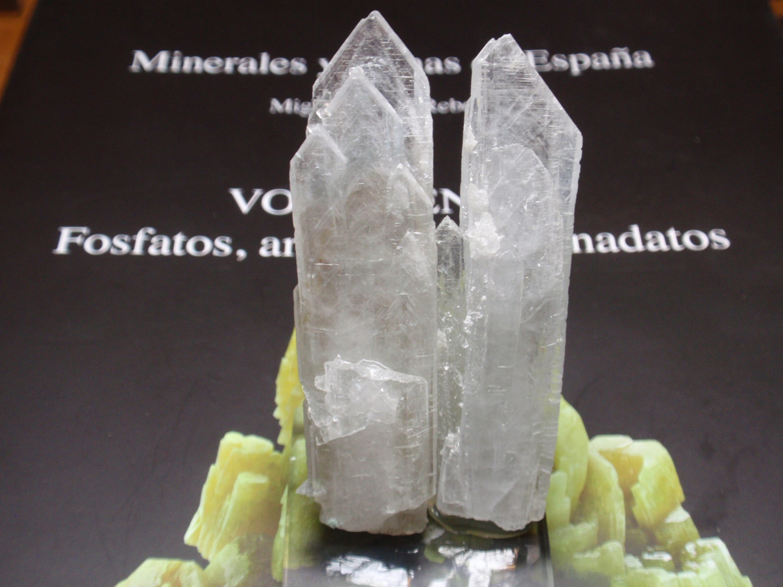 Celestina
15x70 mm
(Autor: Ignacio)