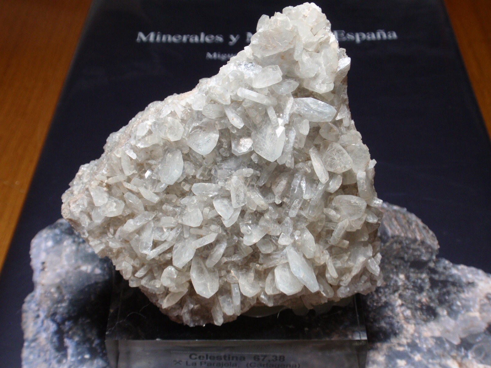 Celestina
80x80 mm
(Autor: Ignacio)