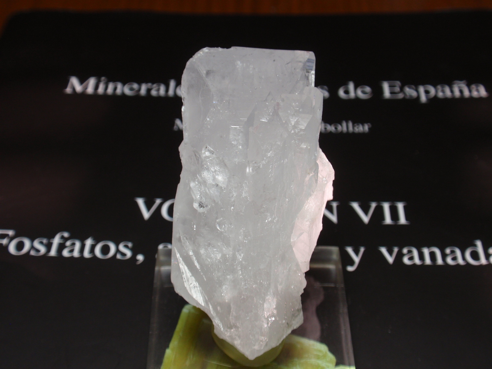 Celestina
25x50 mm
(Autor: Ignacio)