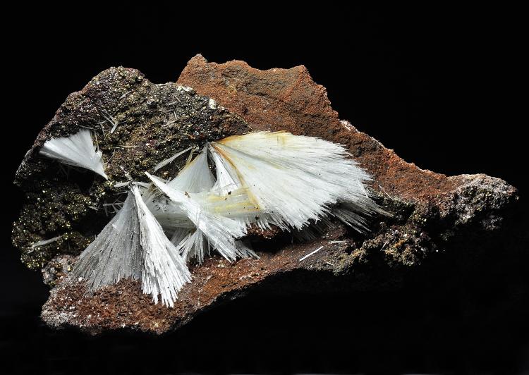 Celestina
Tamaño pieza: 11 x 60 cm.
(Autor: Juan Miguel)