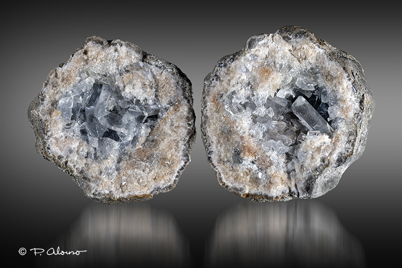 Celestina
5cm x 6cm x 4,5cm
(Autor: Pere Alonso)