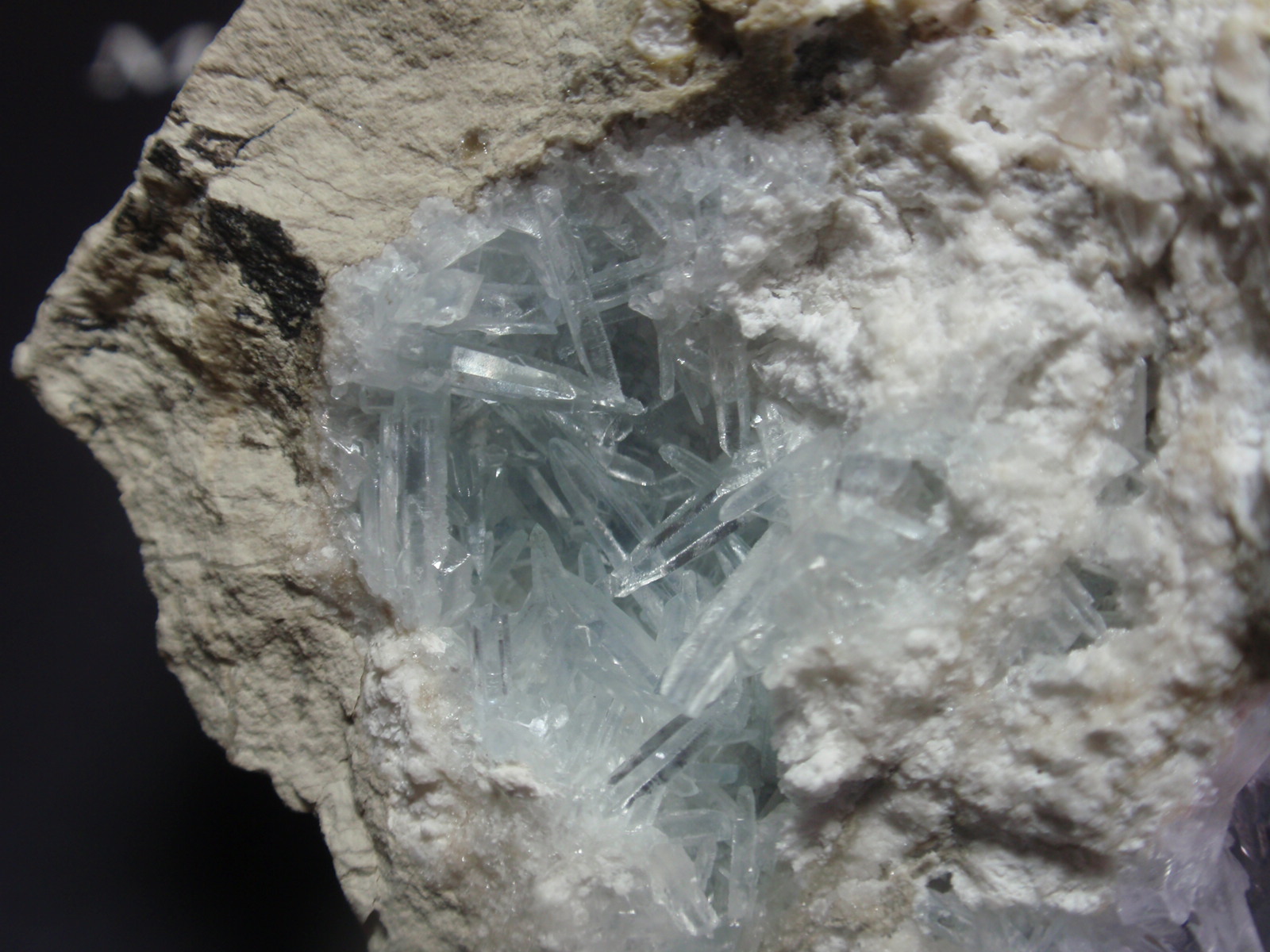 Celestina
70x50 mm
(Autor: Ignacio)