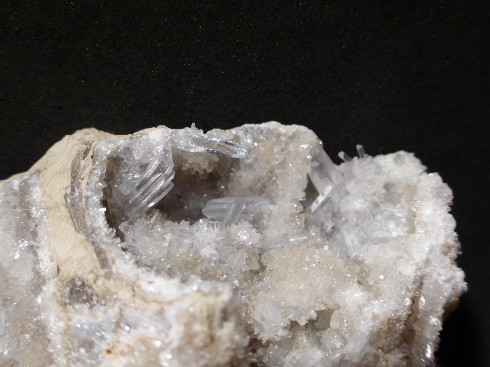 Celestina
12,5x7 cm
(Autor: Ander Ispizua Juan)
