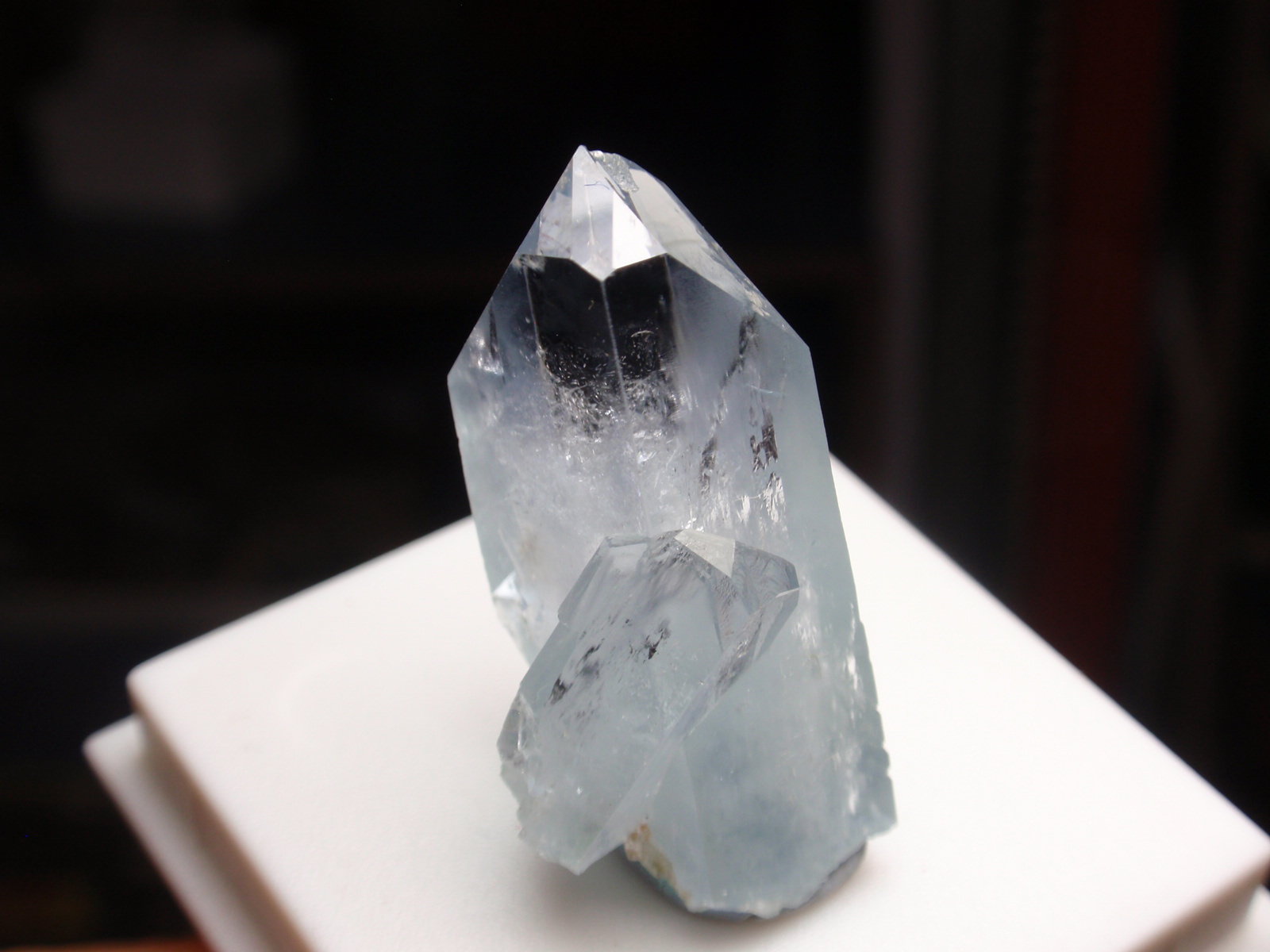 Celestina
10x30 mm
(Autor: Ignacio)