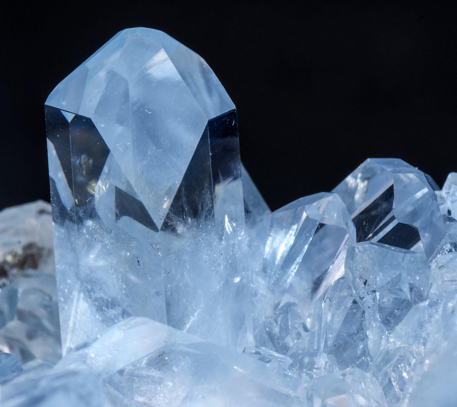 Celestina
cristal principal: 2.5 × 0.7 cm
(Autor: Jordi Fabre)