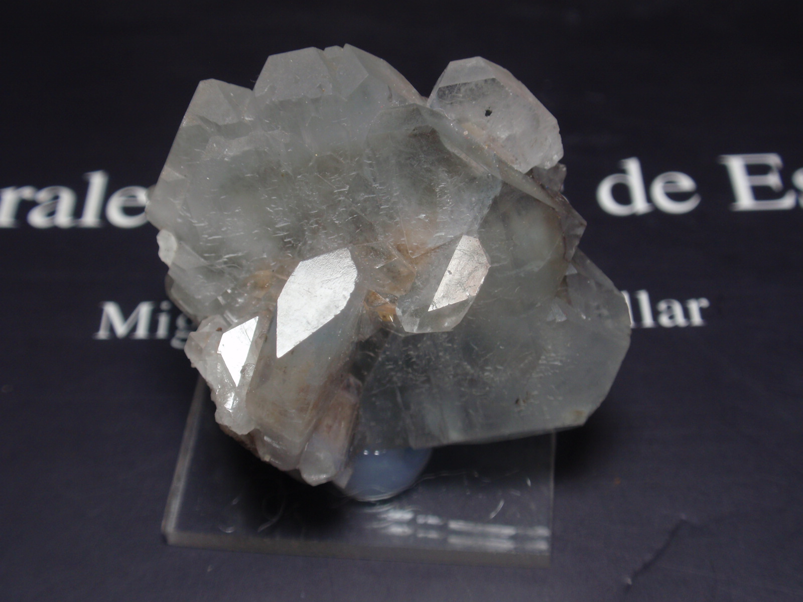 Celestina
40x30 mm
(Autor: Ignacio)