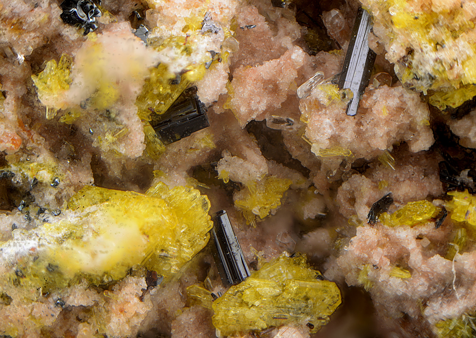 Pseudobrookita
Campo de visión de 2 mm.
(Autor: Antonio Carmona)