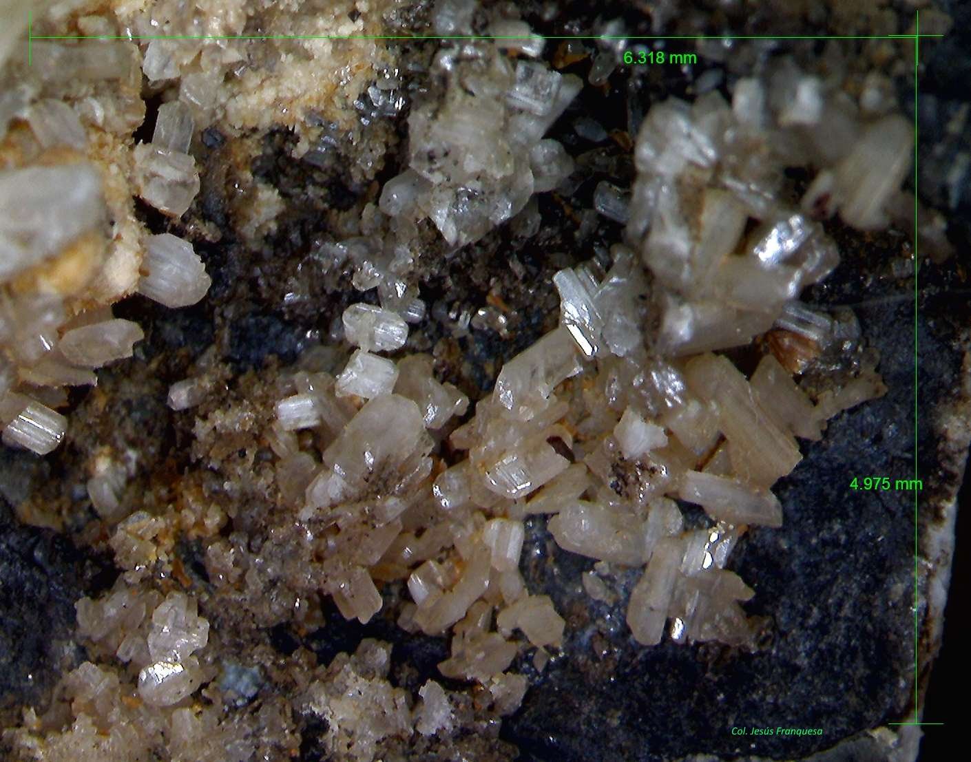 Calcita y Galena.
6´318 x 4´975 mm.
(Autor: Jesus Franquesa Baucells)