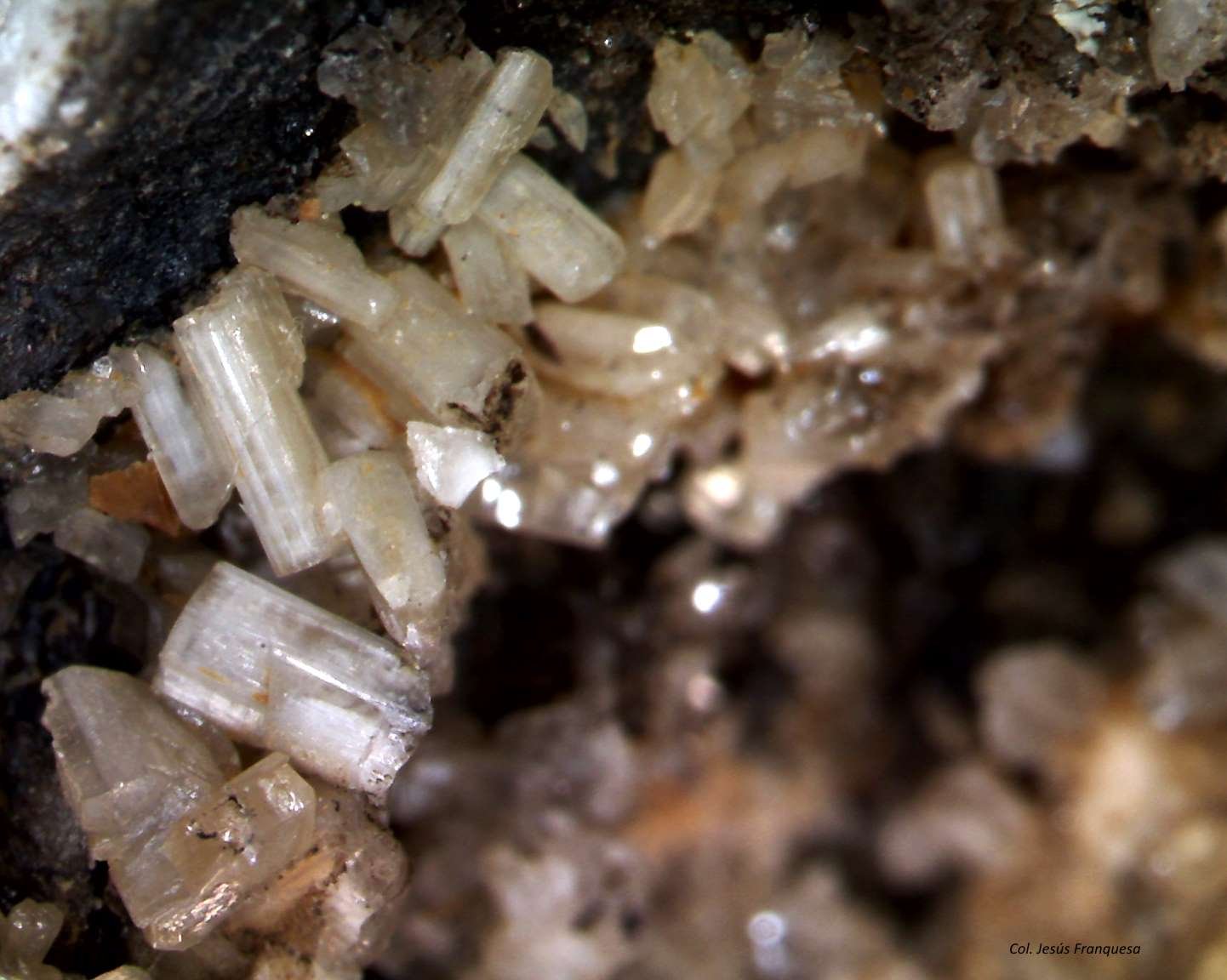Cerusita y Galena.
6´293 x 5´358 mm.
(Autor: Jesus Franquesa Baucells)