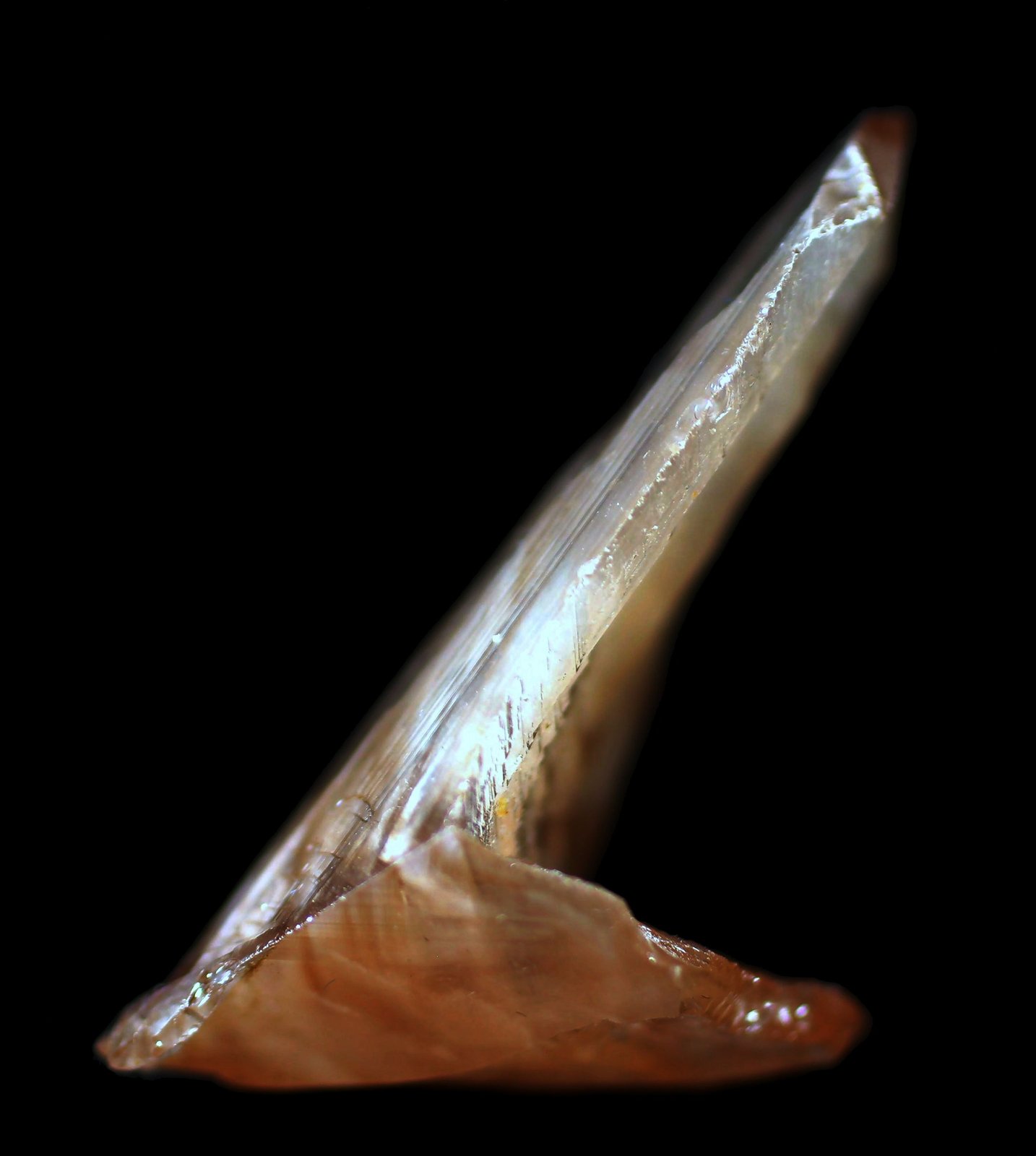 Cerusita
45 x 22 x 21 mm
(Autor: José Luis Zamora)