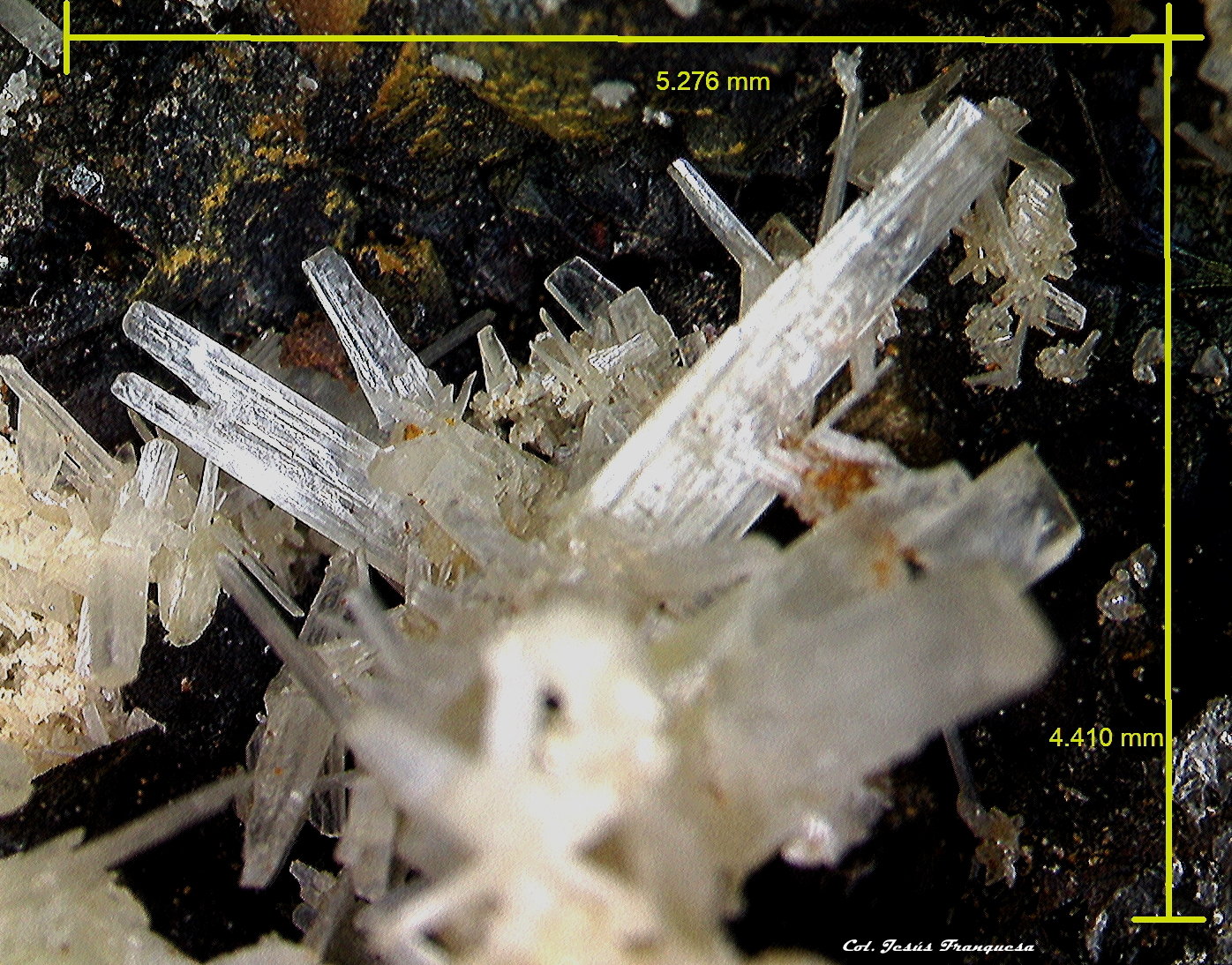 Cerusita.
5´276 x 4´410 mm.
(Autor: Jesus Franquesa Baucells)