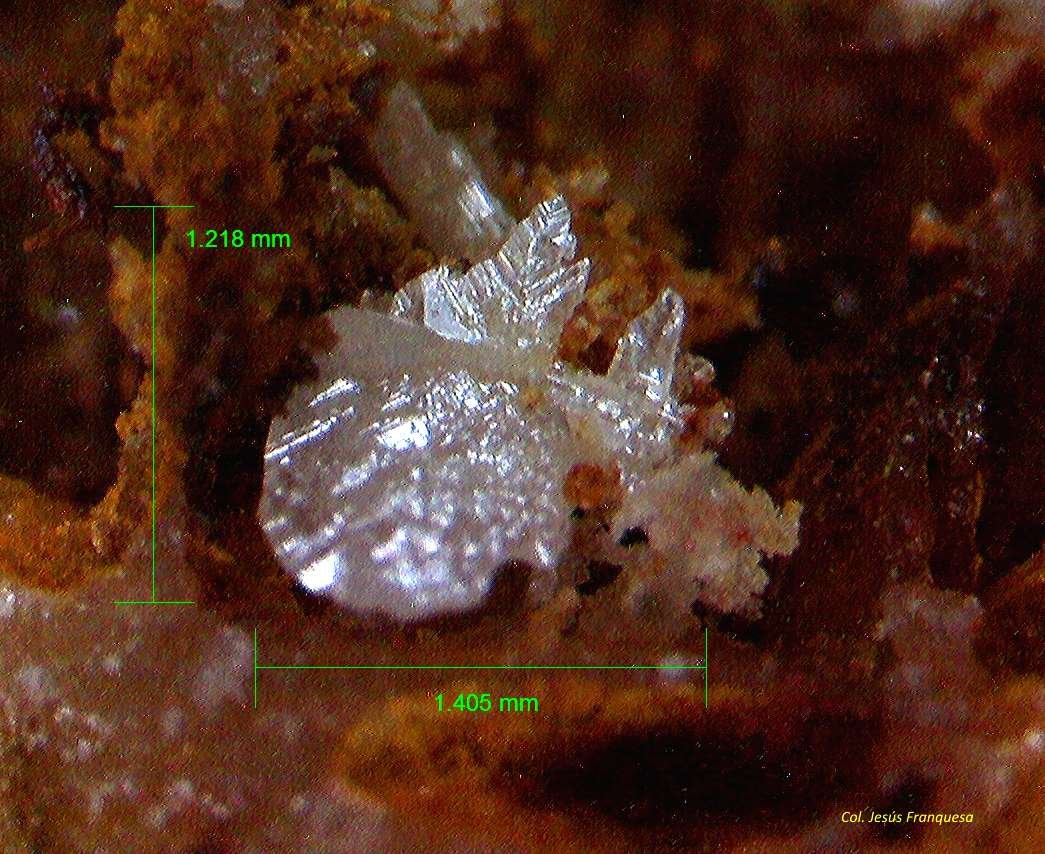 Cerusita.
1´405 x 1´218 mm.
(Autor: Jesus Franquesa Baucells)
