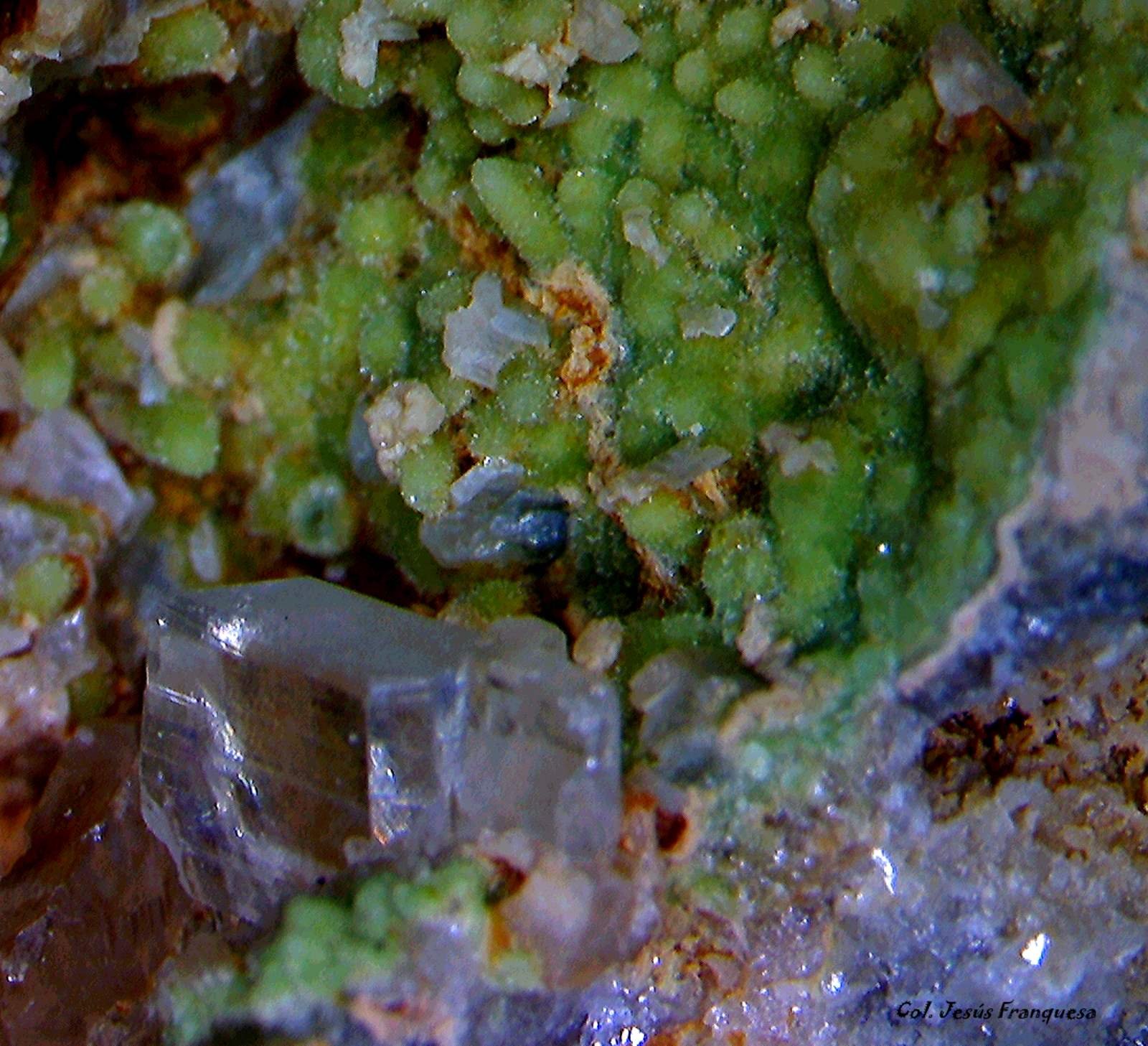 Cerusita y Fosfohedifana.
3´098 x 2´098 mm.
(Autor: Jesus Franquesa Baucells)