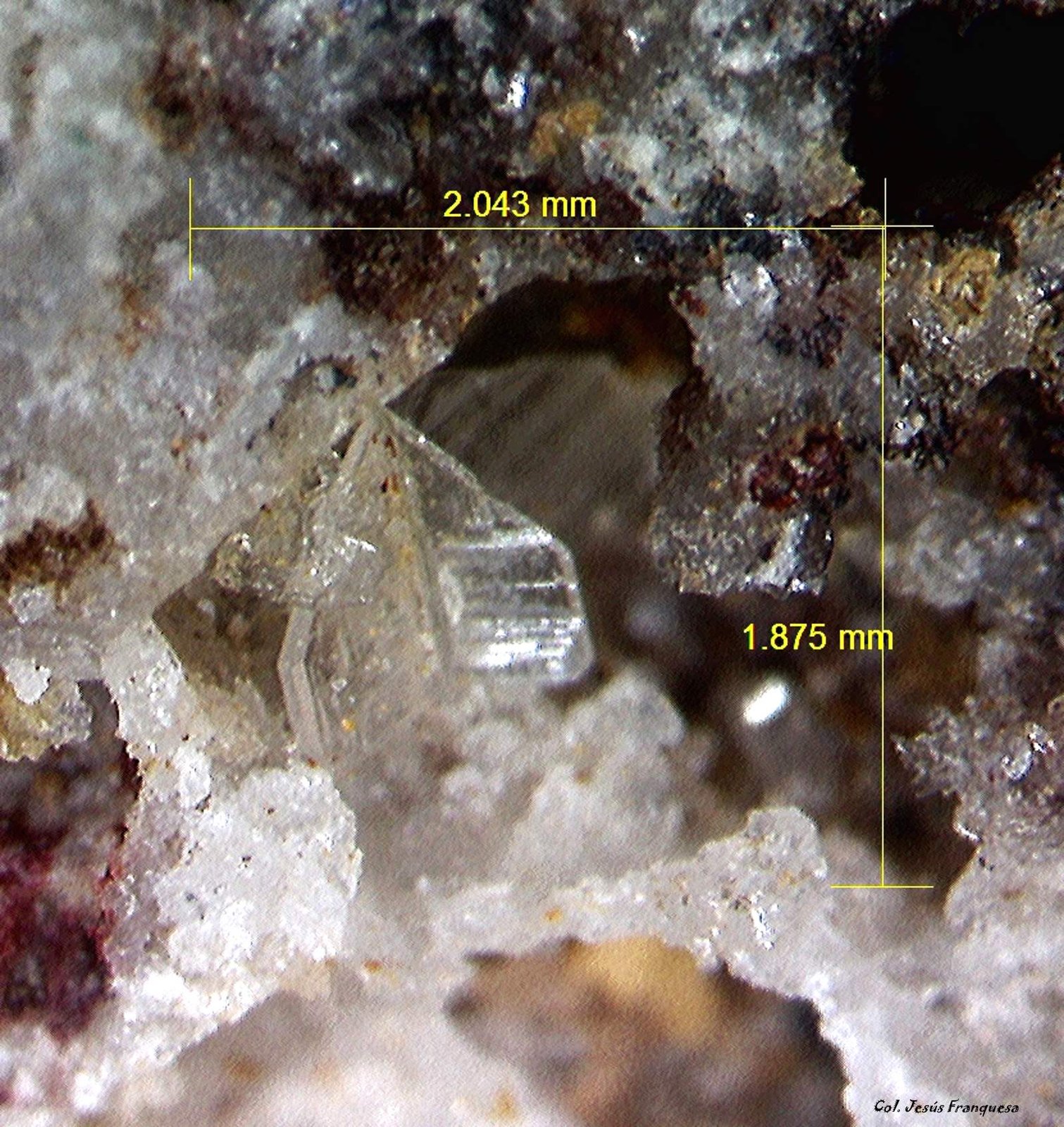 Cerusita.
2´043 x 1´875 mm.
(Autor: Jesus Franquesa Baucells)