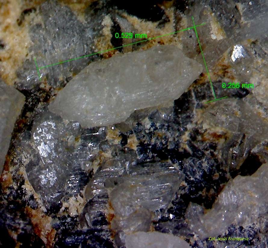 Cerusita
0´529x0´256 mm.
(Autor: Jesus Franquesa Baucells)